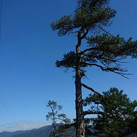 ����Ƕ��㽭�ڶ��߷�