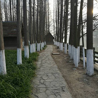 �����ܲ�