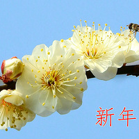 ��������һ��