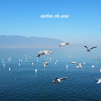 ���ڶ�������Ÿ