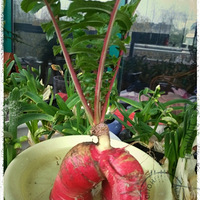 ˮ���ҵ��