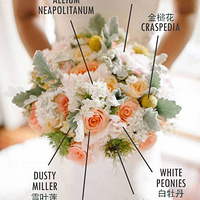 ������---�ſ���������