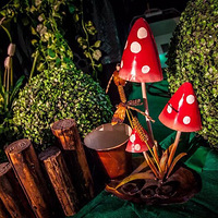 ��2017�������ռǡ��ҵĻ���