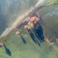 �����������ţ�