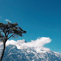 ϣ����ȥһ��