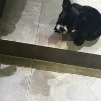 ����Ҫ ��Ű���ˣ�Ű�İ���ȫ�������