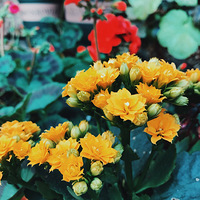 ����˼������˼��������˼�����ڣ��������