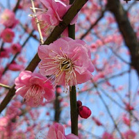 ����Ϲ�䡣