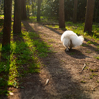 �ٺ�Ҫ��������Ŷ~