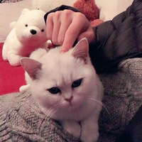 ����ɳ����С��������.....