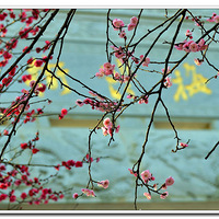 �� ÷��������  ��Ҳ������  ��