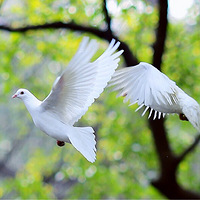 ������ɽ�����ĵ�һЩ����