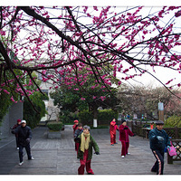 ÷����       ��������201702