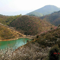 ���հ���÷������÷