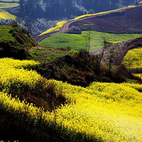 İ�Ͻ��ޣ���Է��ټ�����������С��