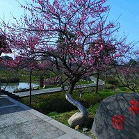 ���꽨�ִ�ʥ����÷��ʢ��