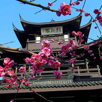 ������԰��÷����