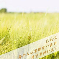 ����Դ�����������ֲ����Ҫ��Ҫ����һ���������������