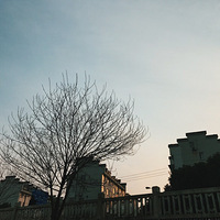 ������������ɽˮ    ���۶�ôϲ������