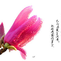 ������Ϣ