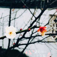 ǡ���ô����Ҹ� һ ������