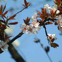 �ӻ�������