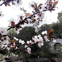 ���²�����ϻ�