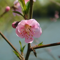 �һ�����