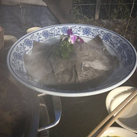 ���������죬����Ψ������������