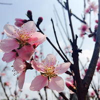 �����ǻ������̡�