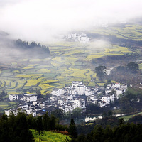 ��������Դ��һƬ���