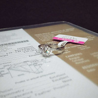 ��2017�������ռǡ�һ����������