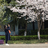 ����ӣ��