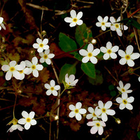 ��������죬���������塣