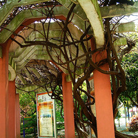 ���ٻ���