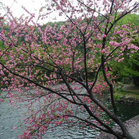 �����涫��2