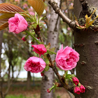 ����ʱ��������