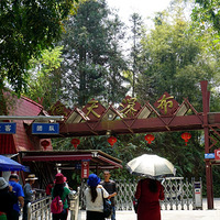 �����ٲ�