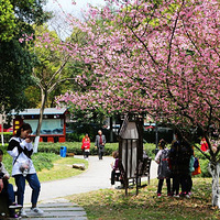 ���˷�����԰