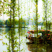 ǧ˿�����ô���~~