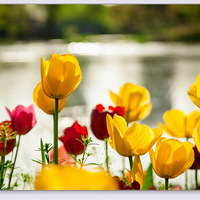 ����ֲ��԰�Ļ��ֵĻ�ͦ����