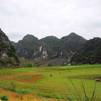 �������� ���󻨿�