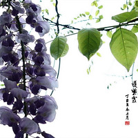 �����ߴ�ɫ ʫ���뻭�⡣����