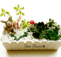 �Ķ���ʳ �������� �������� ��һ�ͷ�DIY