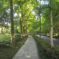 ������������ȥ��ɽ�ˣ���������һ��������