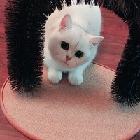 ��Ư׼fa����˵�˰��죬���û��ʶ�����ǲ�ë��ô�����ǲ�����