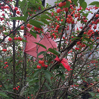 ������һ�ˣ����ض��飡