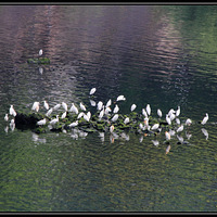 Ī�뾪����