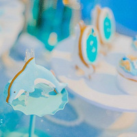 �����������   ��лʱ��ľ���