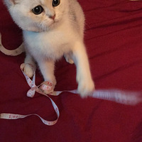 ��Ҫ�ܾ�����Χ����Ҫ�����׿־�֢����֪��ô